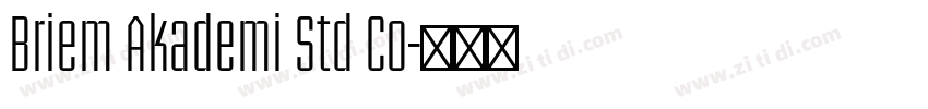 Briem Akademi Std Co字体转换